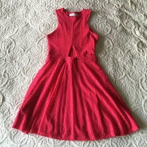Fuscia Abercrombie Skater Dress